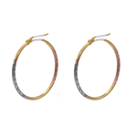 Aretes para Dama facetados.  Broche de Presión.  Oro Combinado Amarillo, Blanco y Rosa de 10 kilates.