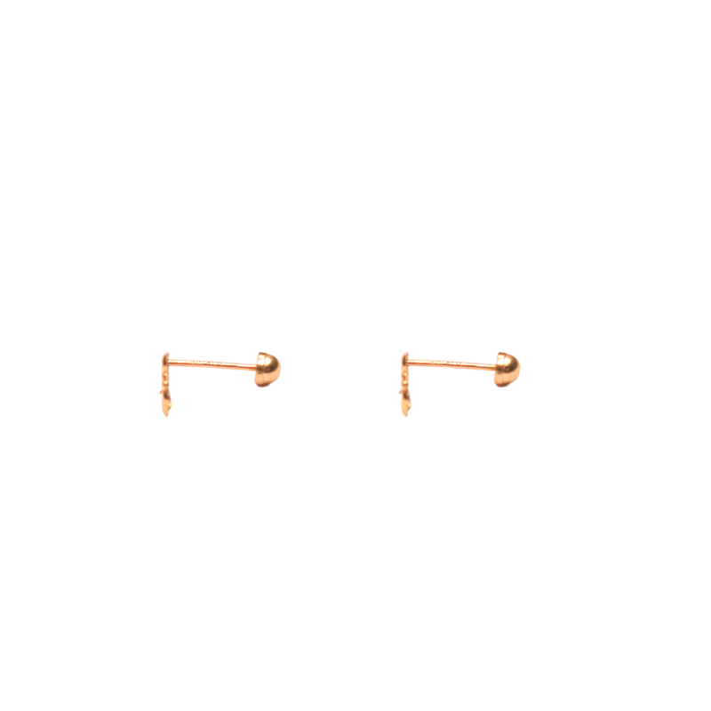 Broquel Pez Oro 10k