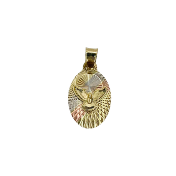 Medalla ovalada con imagen en relieve del Espíritu Santo

Oro Combinado Amarillo, Blanco y Rosa de 10 kilates
