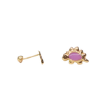 Broquel Dino Oro 10k